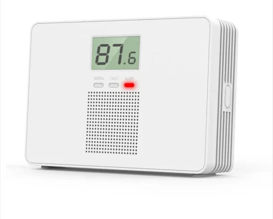 Detector de gas con alarma de monóxido de carbono WGH100